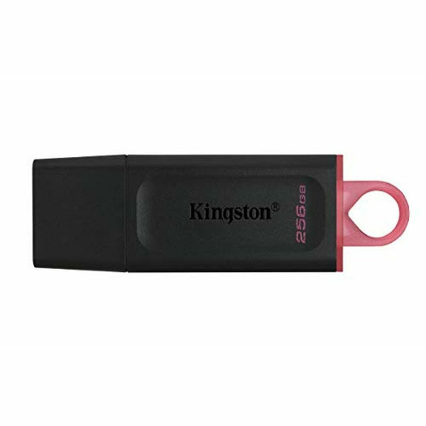 USB stick Kingston DTX/256GB 256 GB