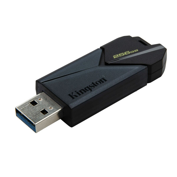 USB stick Kingston DTXON/256GB 256 GB