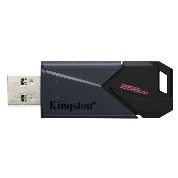 USB stick Kingston DTXON/256GB 256 GB