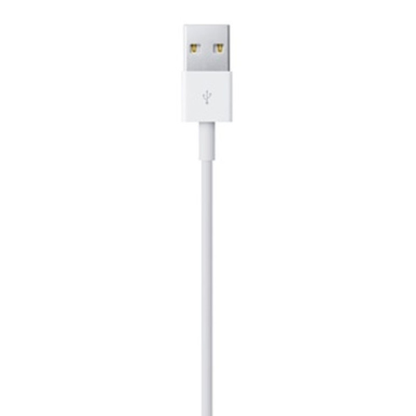 Lightning Cable Apple White (50 cm)