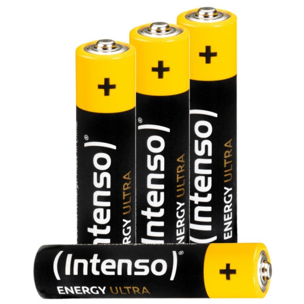 Batteries INTENSO 7501414