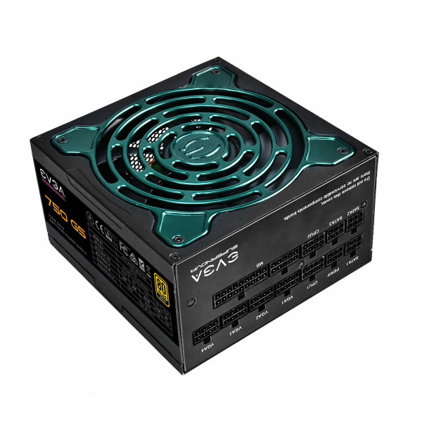 Power supply Evga 750 GS 750 W