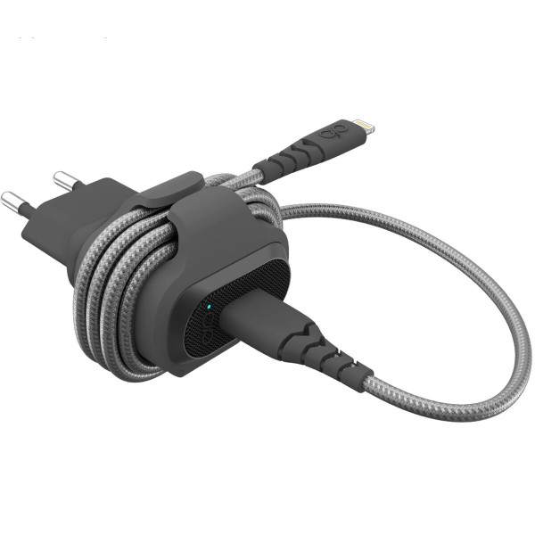 Wall Charger Big Ben Interactive FPCS2.4A1USBAG