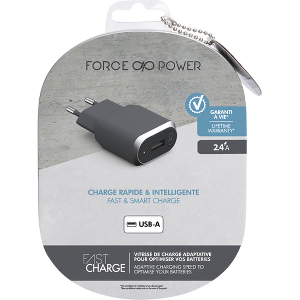 Wall Charger Big Ben Interactive FPCS2.4A1USBAG