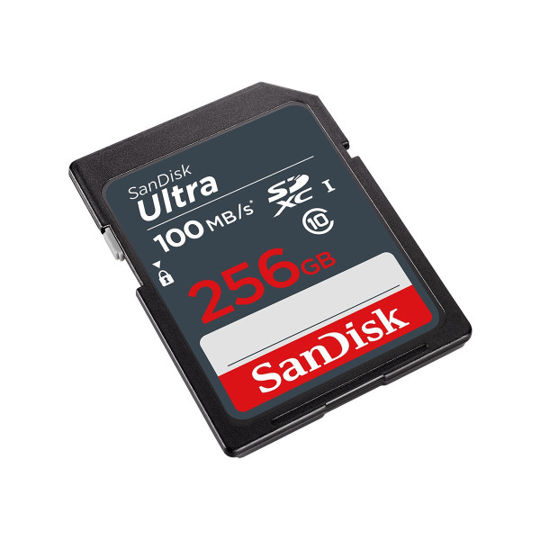 Micro SD Memory Card with Adaptor SanDisk SDSDUNR 256 GB