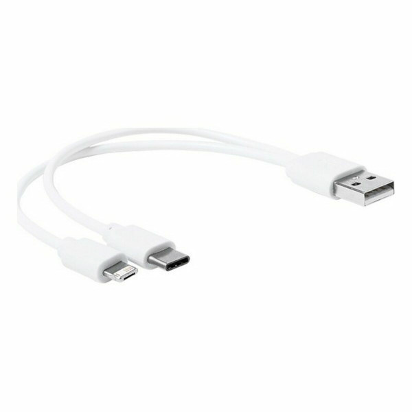 Usb Charger 145843 (200 Units)