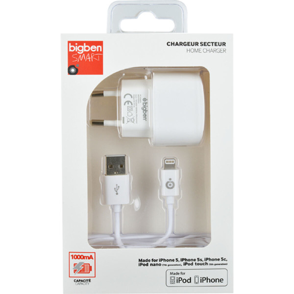 Wall Charger Big Ben Interactive MINICSIP5WV2