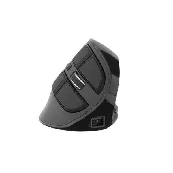 Wireless Mouse Natec EUPHONIE 2400 DPI Black