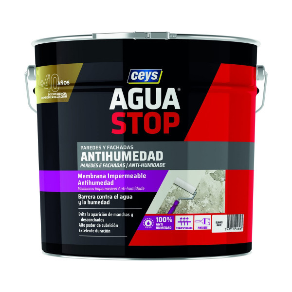 Paint Ceys 902816 Anti-humidity