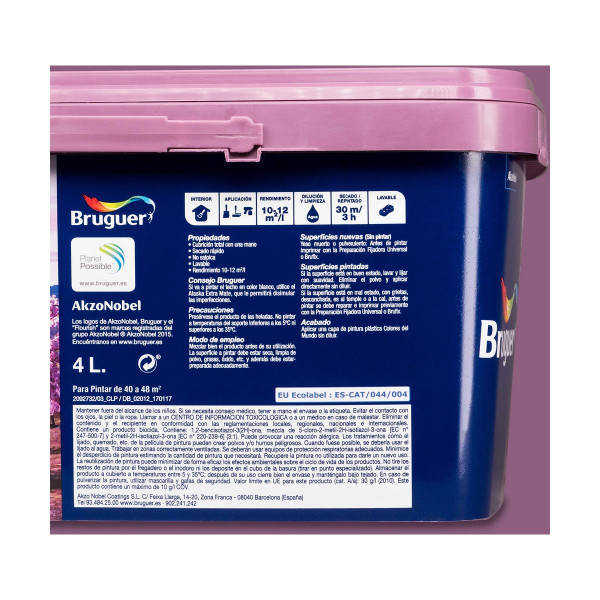 Paint Bruguer Japon 4 L Natural violet