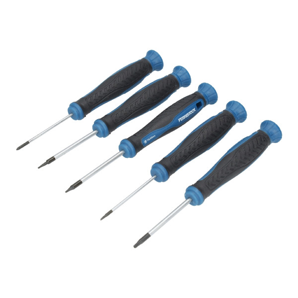 Precision Tool Set Ferrestock Precision (10 pcs)