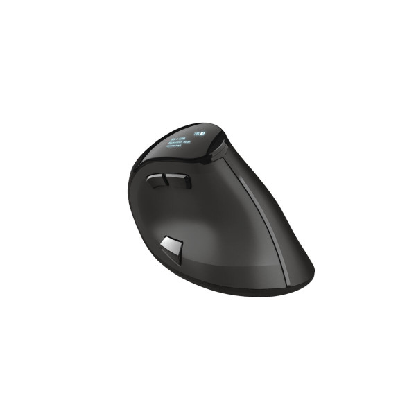 Wireless Mouse Trust Voxx Bluetooth Rechargeable Ergonomic Vertical Black 2400 dpi