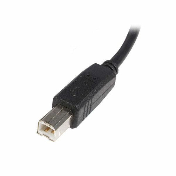 USB A to USB B Cable Startech USB2HAB1M            Black