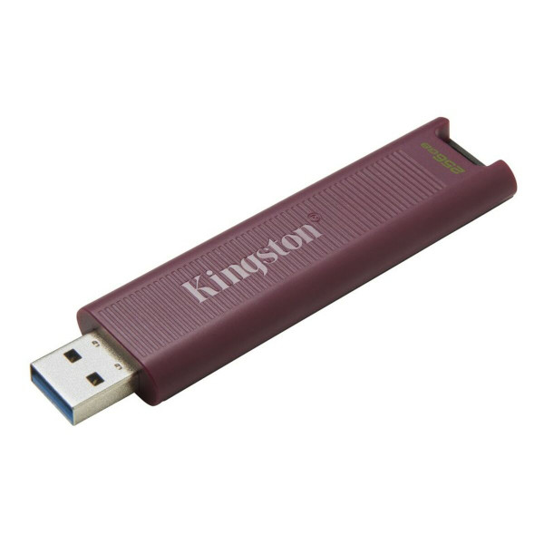 USB stick Kingston DTMAXA/256GB 256 GB